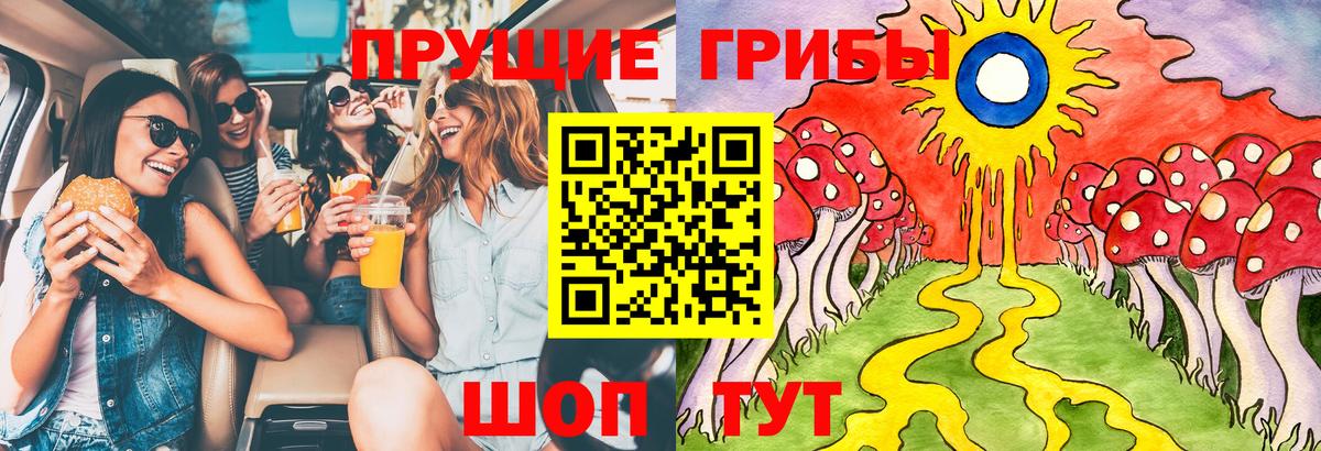 Зерноград  Псилоцибиновые грибы Psilocybe  Вход с VPN 
